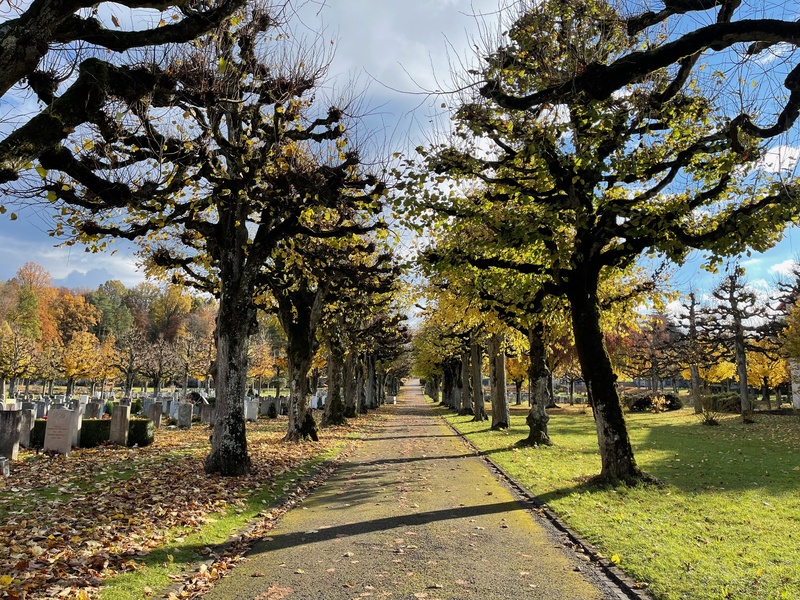 Bern Schosshaldenfriedhof