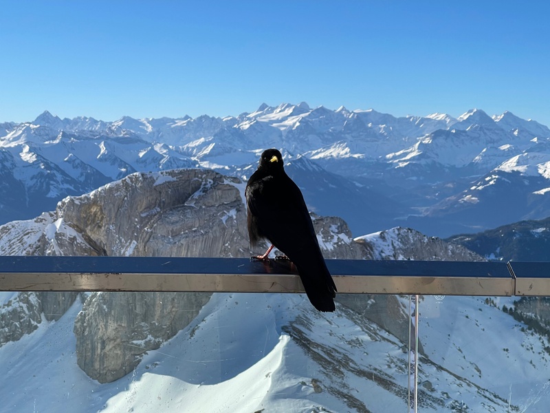 Pilatus Kulm