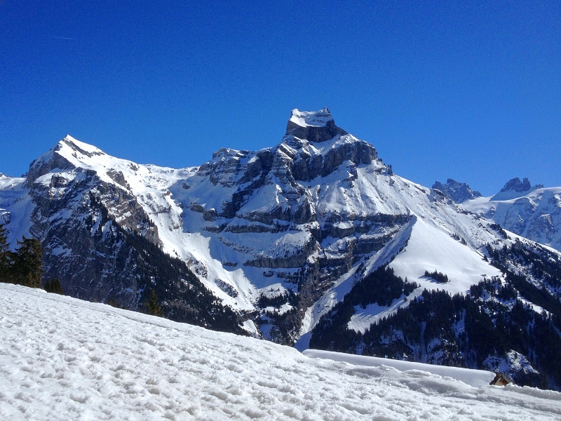 Engelberg Bruni Hahnen