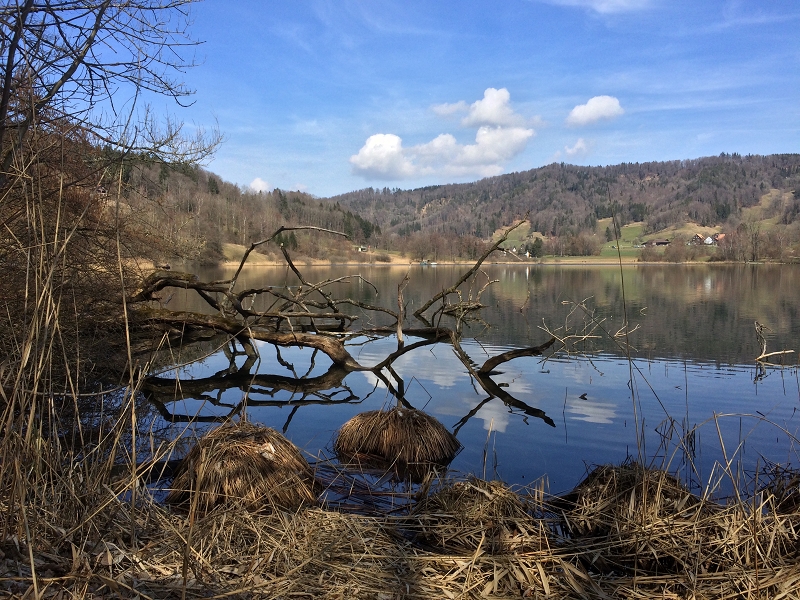 Aeugst Türlersee