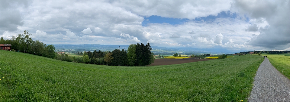 Beinwil (Freiamt) Schürboden